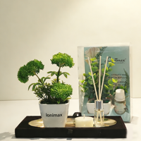 Kit d'aromathérapie écologique pour la maison, diffuseur d'huiles essentielles en céramique 10 ml et plante artificielle à motif solide, vente en gros