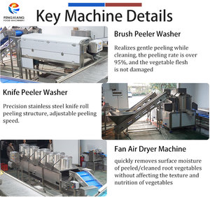 1-3T/H Integrierte Kartoffel-Vorverarbeitungslösung: Kartoffelzuführung, Schlammreinigung, Sortierung, Waschen und Schälmaschine - Product Image 3