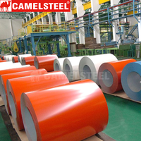 Bobines d'acier de haute qualité CAMELSTEEL conformes à la norme ASTM, personnalisables, prépeintes PPGI PPGL, revêtement couleur, pour tôles de toiture 0,21-0,50 mm
