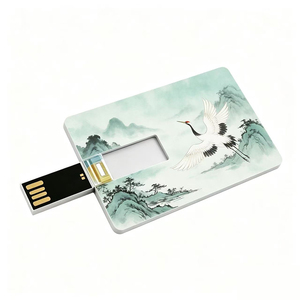 Clé <span class=keywords><strong>USB</strong></span> personnalisée avec logo OEM, <span class=keywords><strong>USB</strong></span> 2.0/3.0, 2 Go, 4 Go, 8 Go, 16 Go, 32 Go, 64 Go, format carte de crédit, <span class=keywords><strong>lot</strong></span> de <span class=keywords><strong>clés</strong></span> <span class=keywords><strong>USB</strong></span> - Product Image 1
