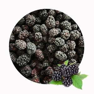 Mûres surgelées XMSD, best-seller |   Fruits surgelés de qualité supérieure pour les fabricants de boissons, les marques de smoothies et les marchés d'exportation - Product Image 1