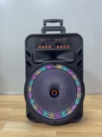 Altavoz Karaoke Inalámbrico Portátil para Exteriores de 12 Pulgadas y 20 W, 1 Micrófono, Luces RGB, Bajos, Bluetooth, USB, Radio FM, Carro para Fiestas, Mango Telescópico