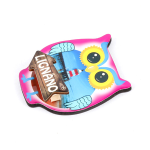 Promosyon hediyeler turistik hediyelik eşya İtalya Lignano kentsel binalar özelleştirilmiş 3d hayvan baykuş Eva buzdolabı mıknatısı - Product Image 4