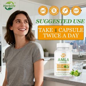 Cápsulas de Amla OEM ODM 500mg - Apoyo Digestivo, Vitamina C Natural y Antioxidantes para el Apoyo Inmunológico, Vitalidad y Bienestar, Vegano - Product Image 4