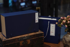 Set da Tè in Porcellana Rosso Corallo Ispirato all'Antico - Gaiwan Intagliato a Mano con Poesia e Tazze Abbinate - Product Image 6