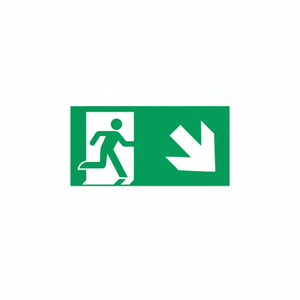 Panneau de signalisation en aluminium luminescent 480*250mm pour sortie d'urgence vers le bas à droite - Product Image 1
