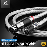 Câble RCA XLR haut de gamme mâle/femelle, Audio stéréo OCC plaqué argent, microphone professionnel équilibré, haut-parleur Hifi 2XLR 2RCA