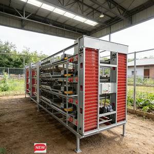 Jaula de Pollo de Múltiples Niveles, Anti-deformación, para Aumentar la Producción de <span class=keywords><strong>Huevos</strong></span>, Jaula de Pollo Industrial, Conjunto de Jaulas de Pollo, Granja Avícola Moderna - Product Image 1