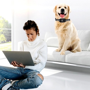 <span class=keywords><strong>Dog</strong></span> Training Tools Remote Ultraschall Wasserdicht <span class=keywords><strong>Anti</strong></span>-<span class=keywords><strong>Bark</strong></span> <span class=keywords><strong>Dog</strong></span> Trainer Hunde training Halsband Bellen Kontroll geräte - Product Image 6