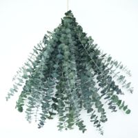 Daun Eucalyptus Perak Alami yang Diawetkan untuk Dekorasi Vas Rumah, Rangkaian Bunga Pernikahan, Grosir, Pabrik OEM