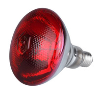Nouvelle lampe chauffante infrarouge pour volailles, 220 V 250 W, pour élevage de poulets et de canards