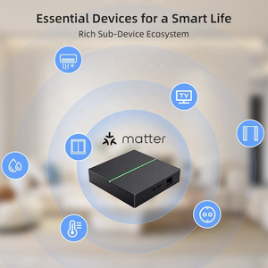 LangYeao Matter Gateway Zigbee Thread, Control LAN por RJ45, Funciona sin Conexión con Apple HomeKit, <span class=keywords><strong>Alexa</strong></span>, Google Home, Tuya - Product Image 4