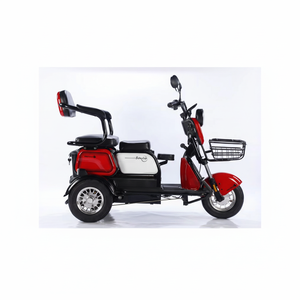 รถสามล้อไฟฟ้าแบบมีหลังคา ความเร็วเดียว 48V 600W - Product Image 1
