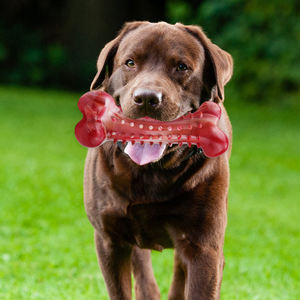Stokta/özel sürdürülebilir üretici güçlü komik sert chew yıkılmaz köpek oyuncak kemik kauçuk agresif <span class=keywords><strong>chewers</strong></span> için - Product Image 6
