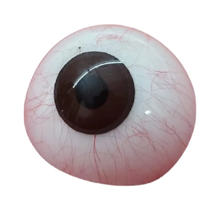 ดวงตาเทียมสีน้ำตาล สมจริง พร้อมรุ้งตาสีน้ำตาล สำหรับการฟื้นฟูความงาม - Product Image 6
