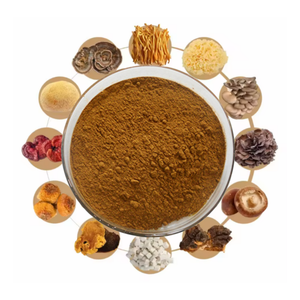 Иммунная система Maitake, индейка, хвост, Рейши, Чага, Львиная Грива, экстракт грибов, органический растворимый грибной кофейный порошок - Product Image 2