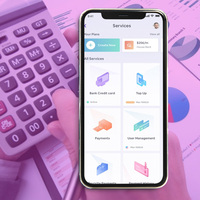 Sistema de contabilidad desarrollo en la India | Primera financiera App de Servicios de Desarrollo por Webroot Infosoft