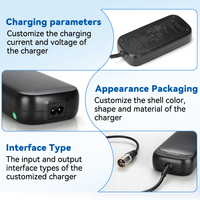 Chargeur de batterie rapide à vente chaude Lipo 12V 24V 36V 48V Alimentation Ebike Planche à roulettes électrique Chargeur de batterie au lithium avec CE Rohs