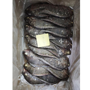 ผู้จัดจำหน่ายปลานิล BQF จากประเทศจีน ขนาด 300-500 กรัม 500-800 กรัม 800 กรัมขึ้นไป - Product Image 4