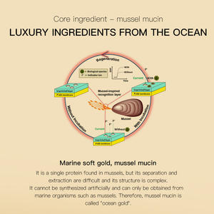 Revente en vrac moule mucine sérum raffermissant Anti-rides Anti-âge pour Essence pour le visage des femmes tous les soins de la peau usage domestique toner - Product Image 3