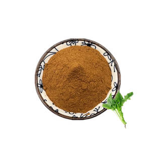 Amostra Grátis Preço de Fábrica Extrato Herbal Grau Alimentício Pó de Extrato de Espinafre 10:1 Especificação Embalagem em Tambor - Product Image 1