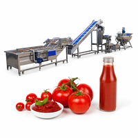 Tomatenpureemachine, tomatenverwerkingsmachine, automatische ketchup productielijn