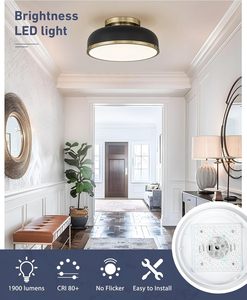 Phong Cách Cổ Điển Màu Đen Trắng Sắt Cơ Thể Hiện Đại Trang Trí 5cct Trần Trong Nhà Ánh Sáng Vòng Hình Dạng <span class=keywords><strong>LED</strong></span> Đèn Trần Cho Phòng Khách - Product Image 2