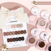 Gel à ongles en gros pour jeunes, fournitures d'usine, hiver, brun, 10 couleurs, ensemble de vernis gel UV, distributeur professionnel de nail art