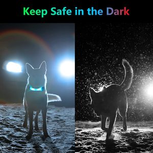 <span class=keywords><strong>Collar</strong></span> de perro con luz LED, <span class=keywords><strong>Collar</strong></span> de perro luminoso, tira de luz LED de seguridad para perros, gatos, seguridad brillante para la noche - Product Image 2