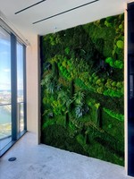 Art mural en mousse préservée, sans eau, sans lumière, sans entretien, panneaux muraux pour l'intérieur des hôtels et des restaurants