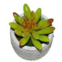 Ensembles spéciaux de plantes succulentes artificielles et de fleurs pour la décoration intérieure de la maison et du bureau