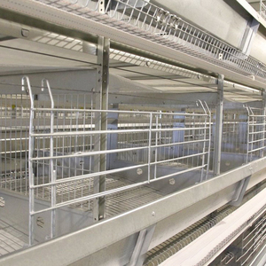 Hoàn chỉnh thiết lập tự động gia cầm lớp gà hệ thống lồng | Nhà Máy Giá Nhà cung cấp cho hiện đại gia cầm trang trại - Product Image 5