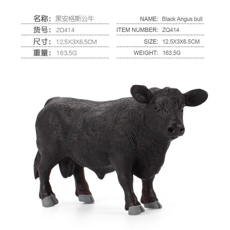 ZQ414 Black angus Bull 163.5กรัม