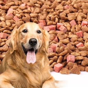 ขายส่งผู้ผลิตรสอาหารสัตว์เลี้ยงสุนัขแมวอาหารรส Enhancer <span class=keywords><strong>ผง</strong></span>ไก่รสอาหารลูกสุนัขแห้งรสชาติตัวอย่างฟรี - Product Image 4