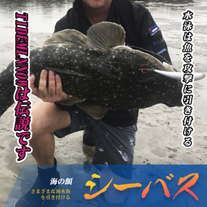 Hunthouse marée mince vairon flottant 148mm 22.8g Isca bar leurre de pêche Wobblers appât dur Leurre <span class=keywords><strong>Brochet</strong></span> océan vairon leurre - Product Image 5