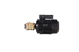 अनुकूलन योग्य 3kw तीन-चरण वाटरप्रूफ उच्च दक्षता मोटर - Product Image 4