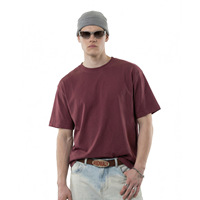 T-shirt sportif en coton pour homme |   Tissu technique cinq-en-un Wenhuo, couleur menthe unie, coupe ample, nouvelle collection été 2026, couleur nationale