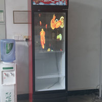 Écran de film LED transparent-un affichage LED flexible et transparent pour les portes de réfrigérateur de centre commercial résistantes au gel.