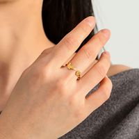Bagues ouvertes ajustables Myshape en acier inoxydable pour femmes, motif écureuil et graines de melon, bijoux animaux 2024, cadeau d'anniversaire