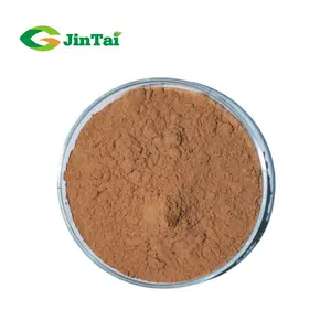 Bulk Organic Lions Mane Mushroom Powder Lion's Mane Powder Lion's Mane Mushroom Extract