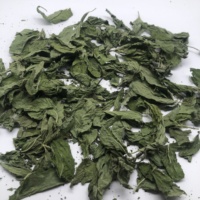 Té de Hojas de Menta Secas de Alta Calidad, 100% Natural, Hoja de Hierbabuena Pura Sin Tallo, Té de Hierbas