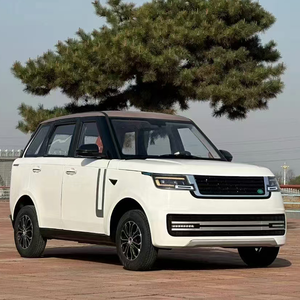 Auto Eléctrico de 4 Plazas para Parque de Atracciones, Batería de Litio de 5kw, Volante a la Izquierda, Cámara Trasera, Asientos de Cuero - Product Image 1