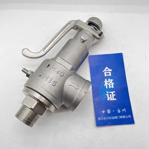Válvula de seguridad Liangyi DN20 PN16 con presión ajustable para tanques de gas y calderas, conexión en ángulo recto - Product Image 2