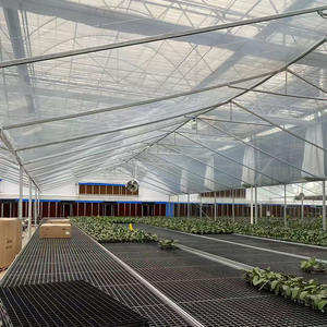 Invernadero agrícola Agrícola <span class=keywords><strong>de</strong></span> policarbonato <span class=keywords><strong>de</strong></span> vidrio con película <span class=keywords><strong>de</strong></span> túnel comercial multitramo con <span class=keywords><strong>semillero</strong></span> para tomate <span class=keywords><strong>fresa</strong></span> - Product Image 6