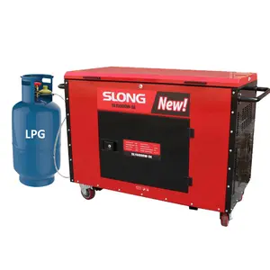E. SLONG BRAND 17kw leise Gasgeneratoren 3-phasig