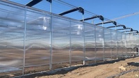 Serre en polycarbonate multi-travée à faible coût, serre avec système hydroponique pour tomates, poivrons, fraises, laitues