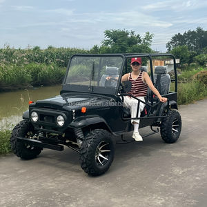 דגם חדש 200cc/250cc/350cc/350cc מחוץ לכביש 4 x4 מיני ג 'יפים 4x4 באגי גלגלי מיני ג' יפים 350cc - Product Image 2