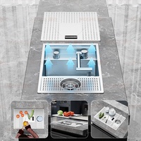 MOSHE Évier en acier inoxydable 304 avec égouttoir dissimulé amovible et désodorisant, idéal pour les cafés, salons de thé et bars.