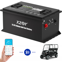 Baterai Golf Cart Lithium LiFePO4 51.2V 105Ah, Baterai Golf Cart Lithium 48V 100Ah 300Ah, Baterai Golf Cart Lithium dengan Casing Logam
