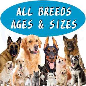 OEM Natur Pet Nutrit trattamento sedativo calmante canapa Pitbull Dog prodotti per la salute ansia da masticare integratori Usa - Product Image 5